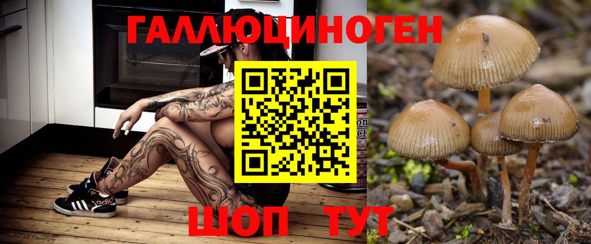 Карабулак  Галлюциногенные грибы мицелий  Вход с VPN 