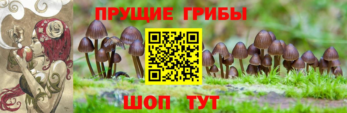 Галлюциногенные грибы мицелий Карабулак